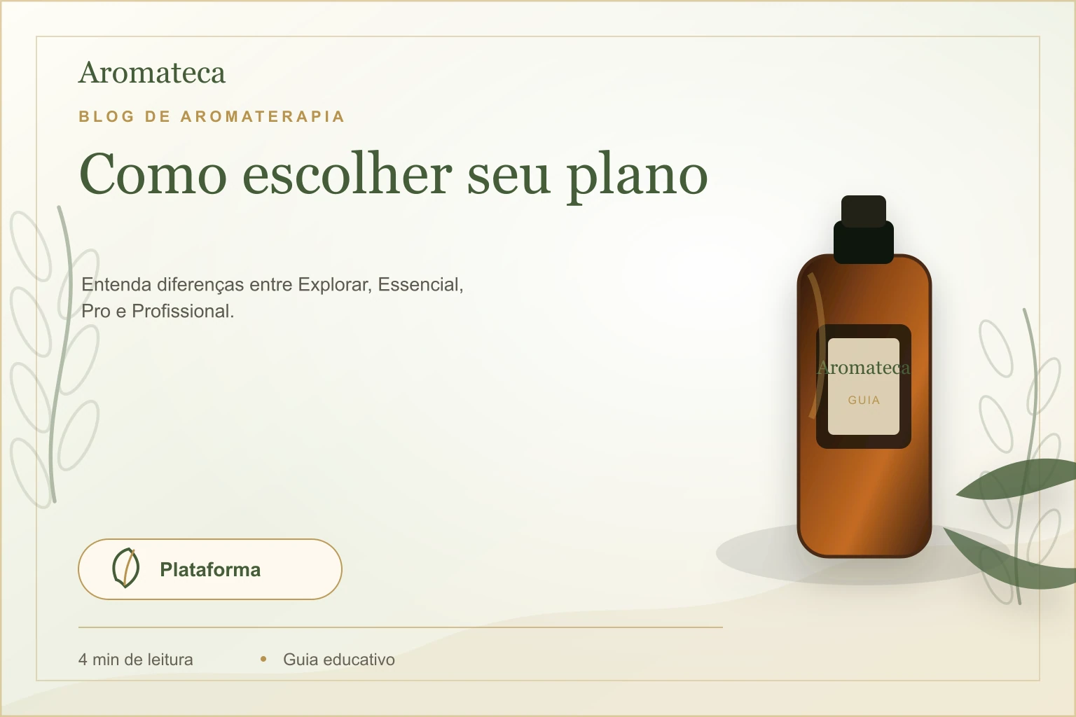 Capa do blog Aromateca para o artigo Como escolher seu plano